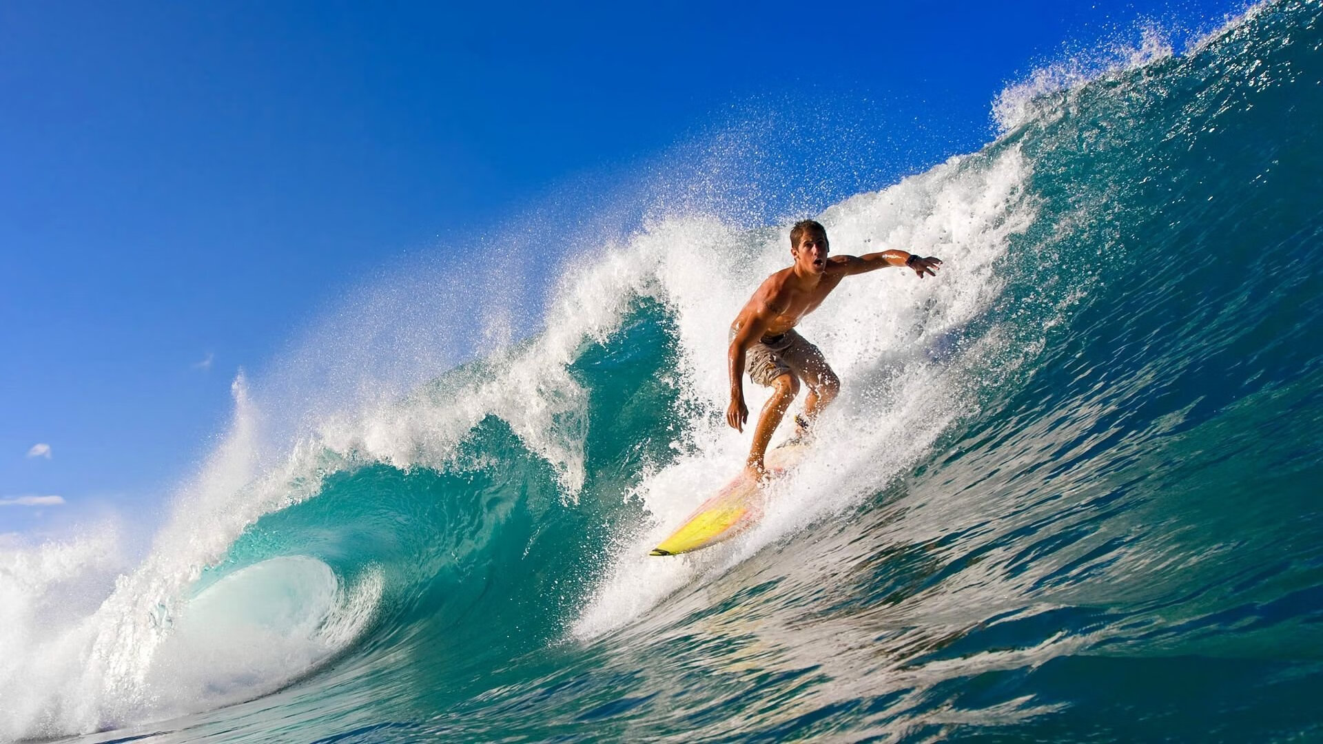 校园体育设施智能维护系统设计研究,体育场智能化系统